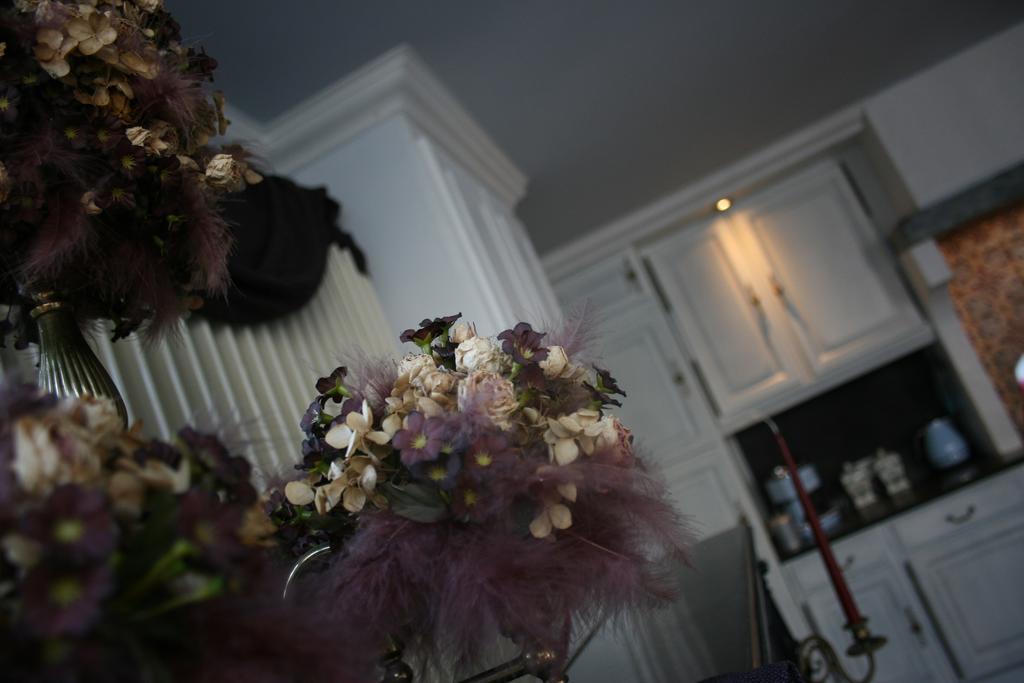 Casa Lucinda Bed & Breakfast Ghent Exterior photo