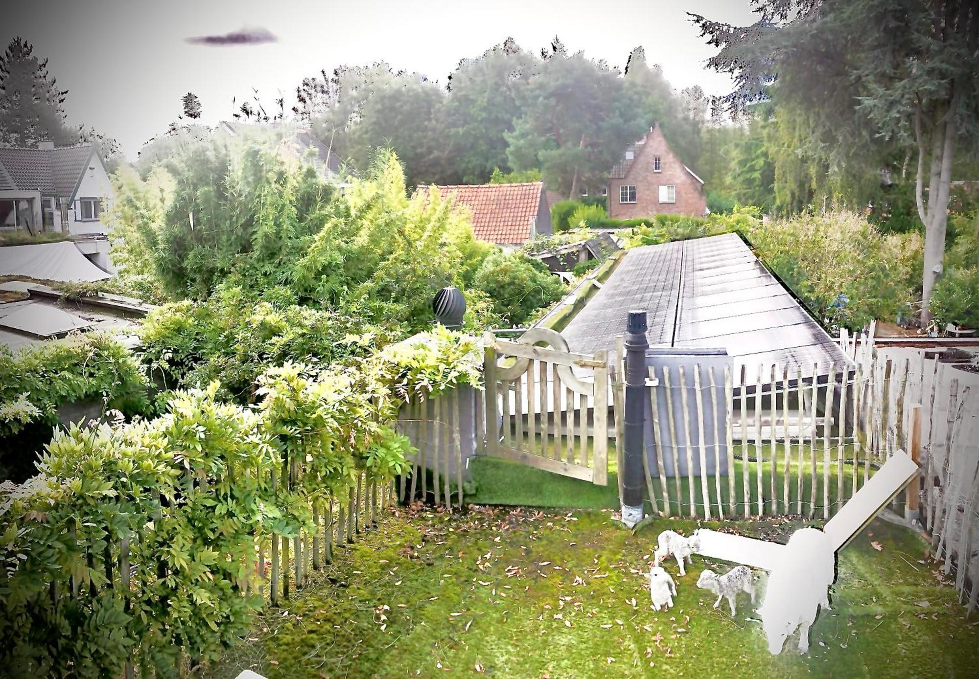 Casa Lucinda Bed & Breakfast Ghent Room photo