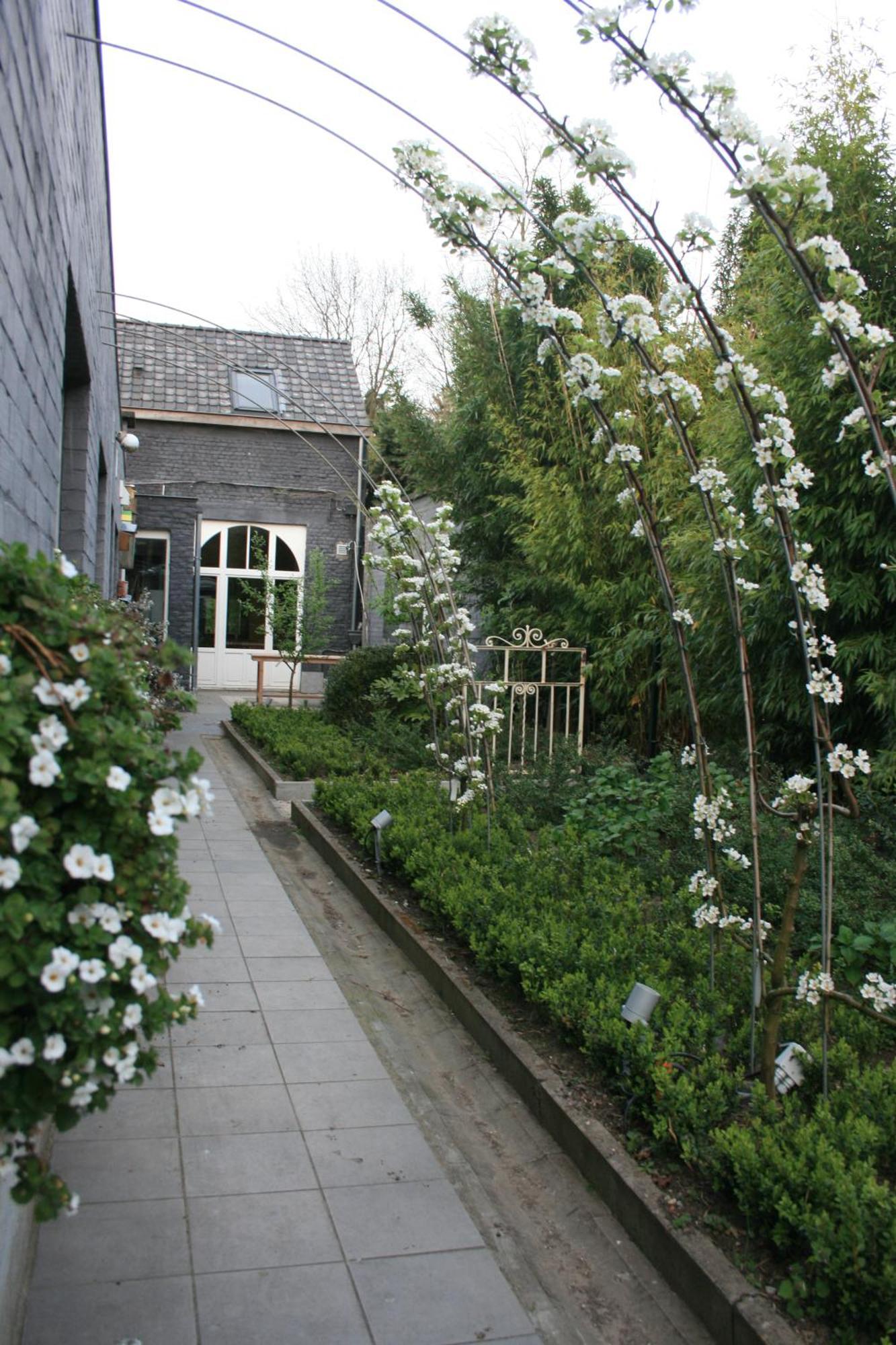 Casa Lucinda Bed & Breakfast Ghent Exterior photo